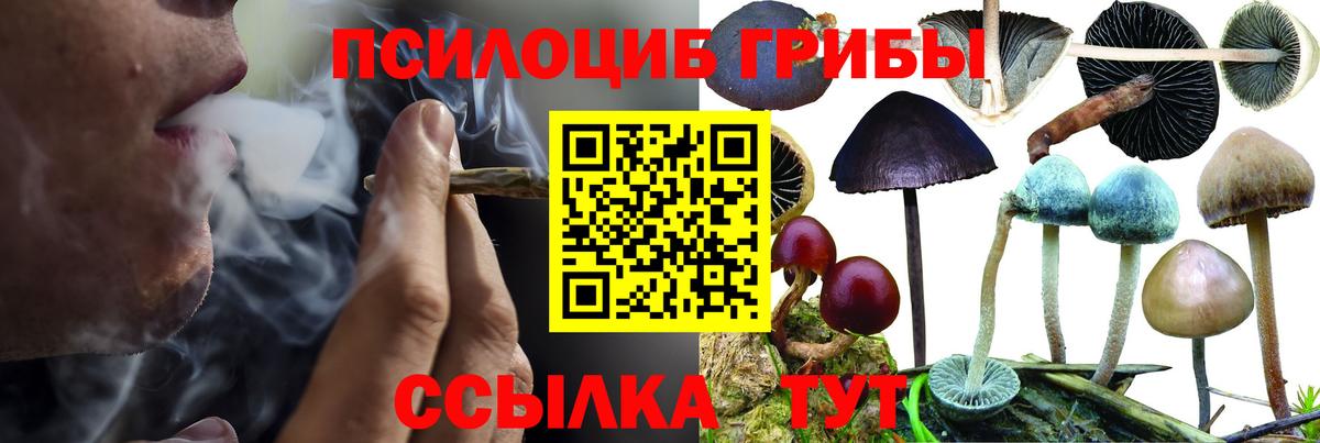 Ухта  Галлюциногенные грибы MAGIC MUSHROOMS  где продают наркотики  Вход с VPN 